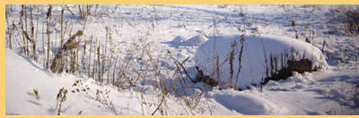 Foto Natura Clou Kosmetik